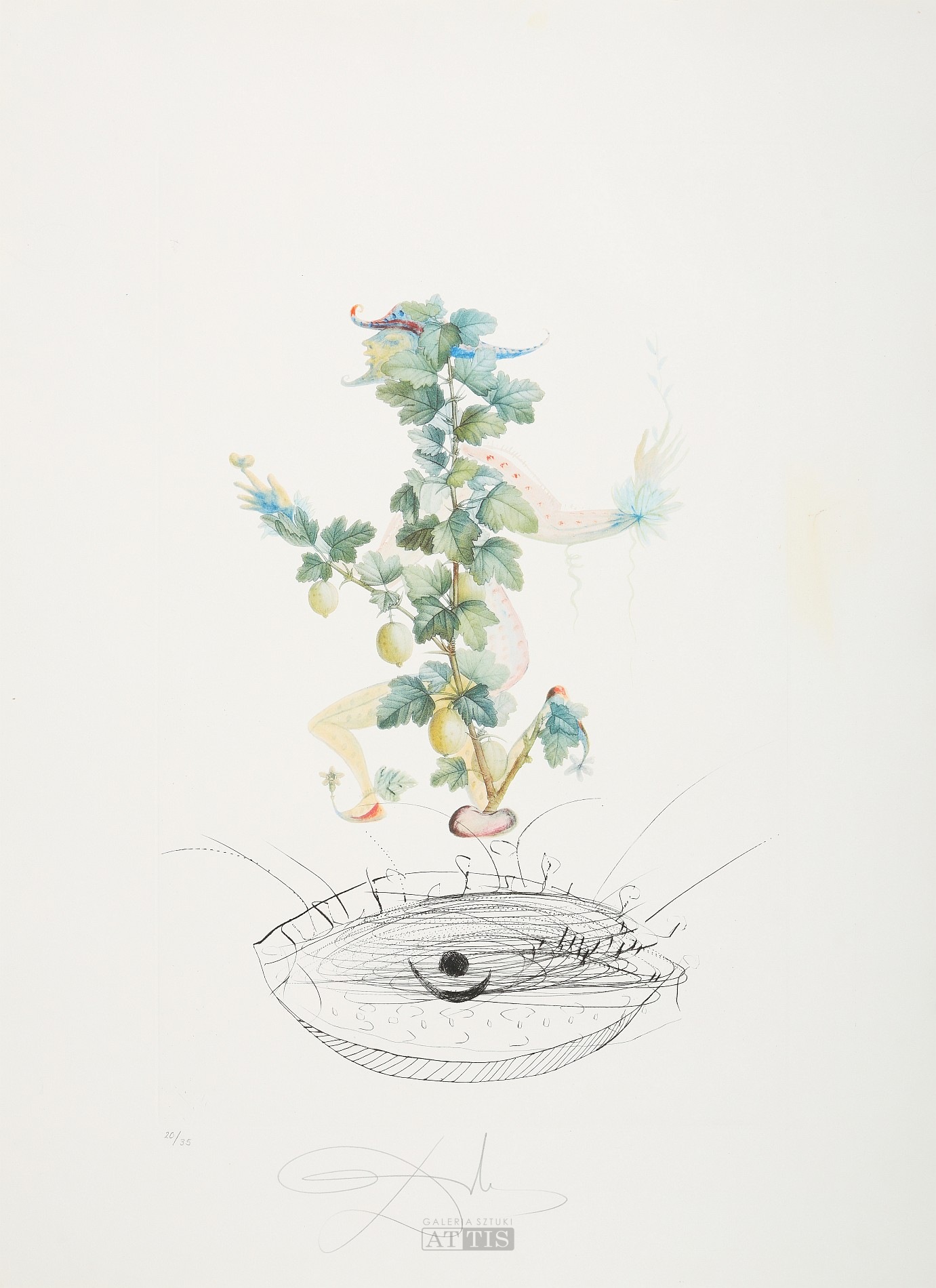 DALI Salvador