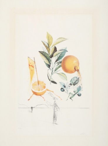 DALI Salvador Pamplemousse Érotique z cyklu Flordali - Les Fruits (1969)