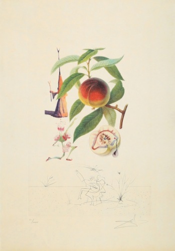 DALI Salvador Pêcher Pénitent z cyklu Flordali - Les Fruits (1969)
