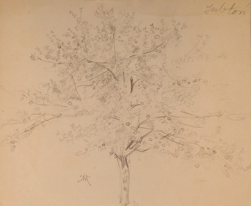 HOFMAN Wlastimil