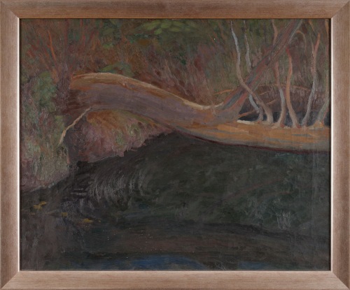 MAŁACHOWSKI Jan Pejzaż z Podhala - złamane drzewo nad strumieniem (1914)