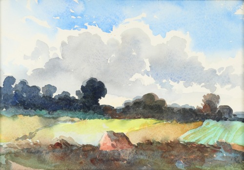 ZIN Wiktor